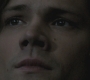 SPN_1141.jpg