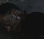 SPN_1166.jpg