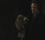 SPN_1207.jpg