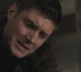 SPN_0011.jpg