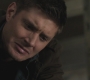 SPN_0012.jpg