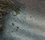 SPN_0050.jpg