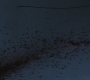 SPN_0072.jpg