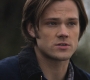 SPN_0132.jpg