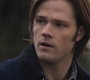 SPN_0149.jpg