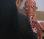SPN_0176.jpg