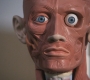SPN_0213.jpg