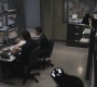 SPN_0221.jpg