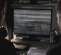 SPN_0229.jpg