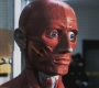 SPN_1031.jpg