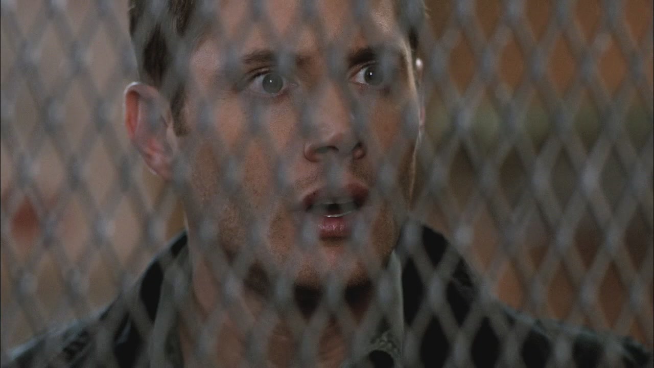 SPN_0973.jpg