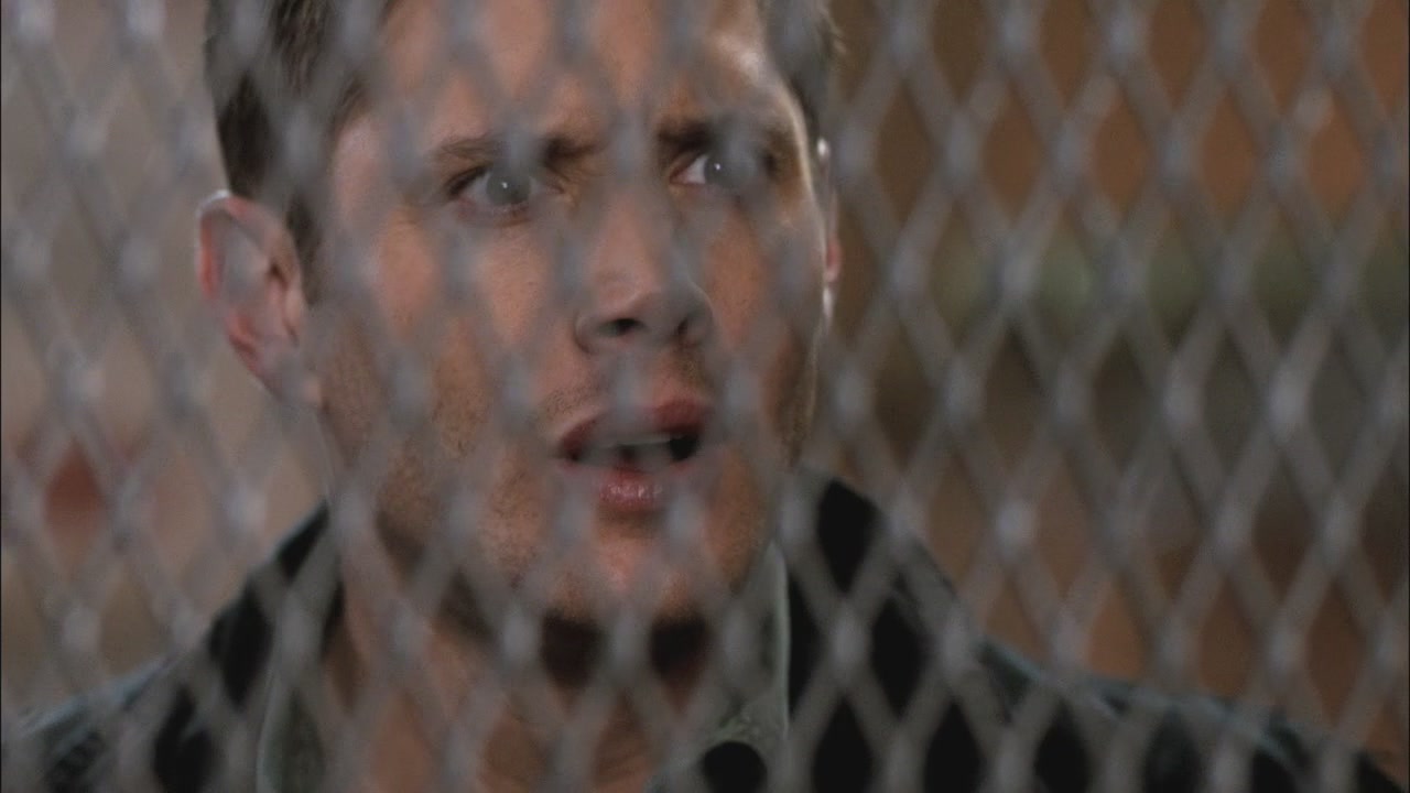 SPN_0974.jpg