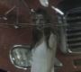 SPN_0144.jpg