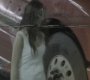 SPN_0146.jpg
