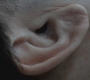 SPN_0227.jpg