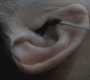 SPN_0234.jpg