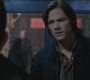 SPN_0337.jpg