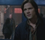 SPN_0338.jpg