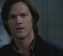 SPN_0354.jpg