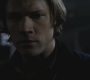 SPN_0811.jpg
