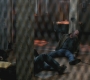 SPN_0977.jpg