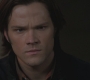 SPN_1176.jpg