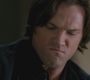 SPN_1212.jpg