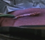 SPN_1231.jpg