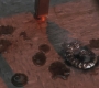 SPN_1239.jpg