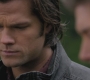 SPN_1247.jpg