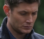 SPN_1248.jpg