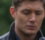 SPN_1268.jpg