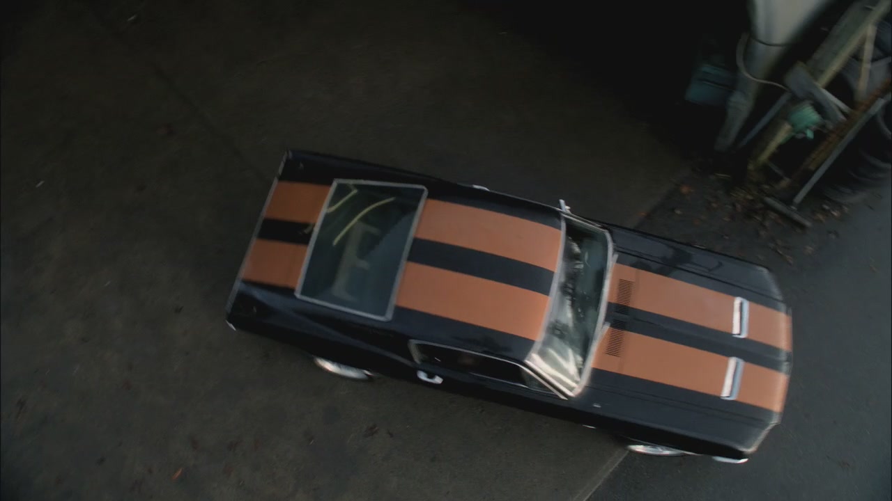 SPN_0151.jpg