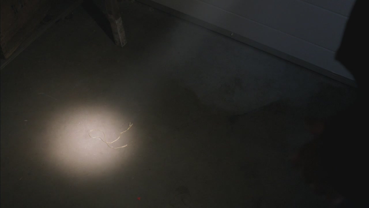 SPN_0203.jpg