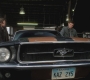 SPN_0138.jpg