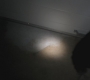 SPN_0199.jpg