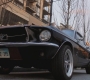 SPN_0303.jpg