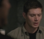 SPN_0500.jpg