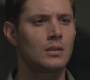 SPN_0528.jpg