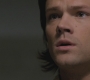 SPN_0531.jpg