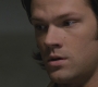 SPN_0532.jpg