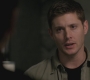 SPN_0541.jpg