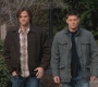 SPN_0891.jpg