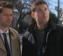 Filename=SPN_0409.jpg
Filesize=136KiB
Dimensions=1280x720
Date added=Apr 30, 2011 SPN_0409.jpg
