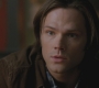 SPN_0564.jpg
