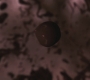 SPN_0196.jpg