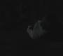 SPN_0212.jpg