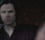 SPN_0387.jpg
