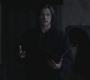 SPN_0955.jpg