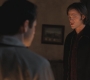 SPN_0977.jpg